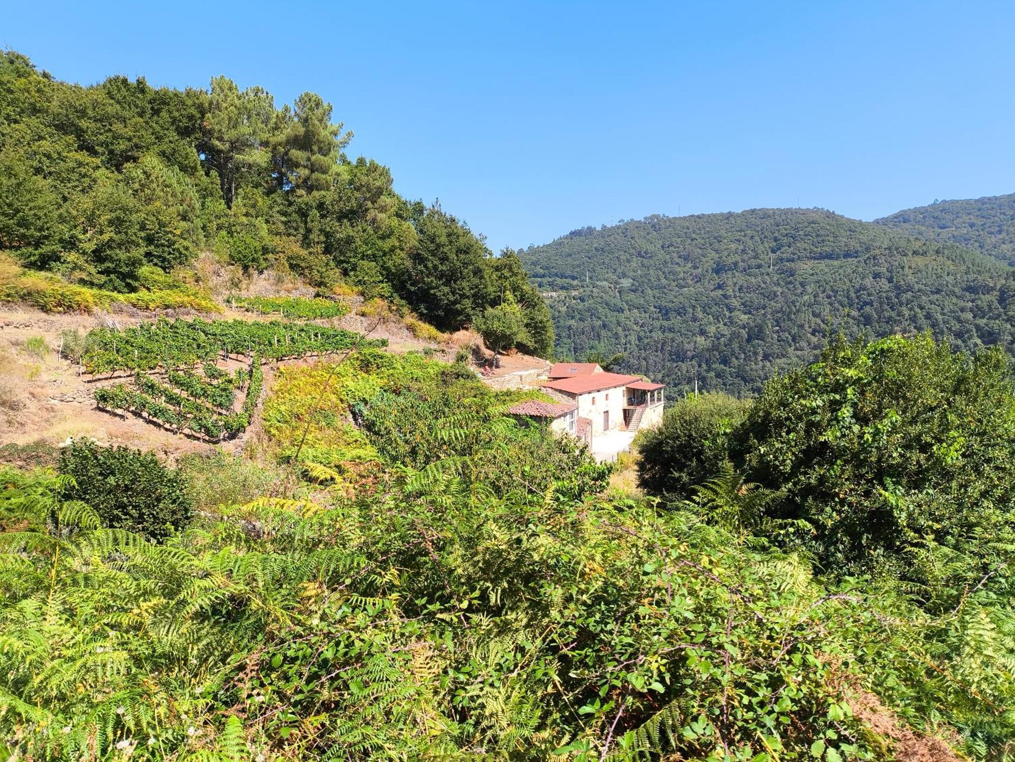 Xiravai-Ribeira Sacra Villa Peares ภายนอก รูปภาพ